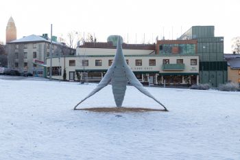 ONE (rising tide falling star)