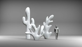 Visualisation for "Cactus, Coral and Leaf", by Claudia Comte.